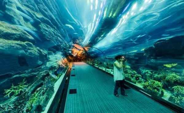 images (8)